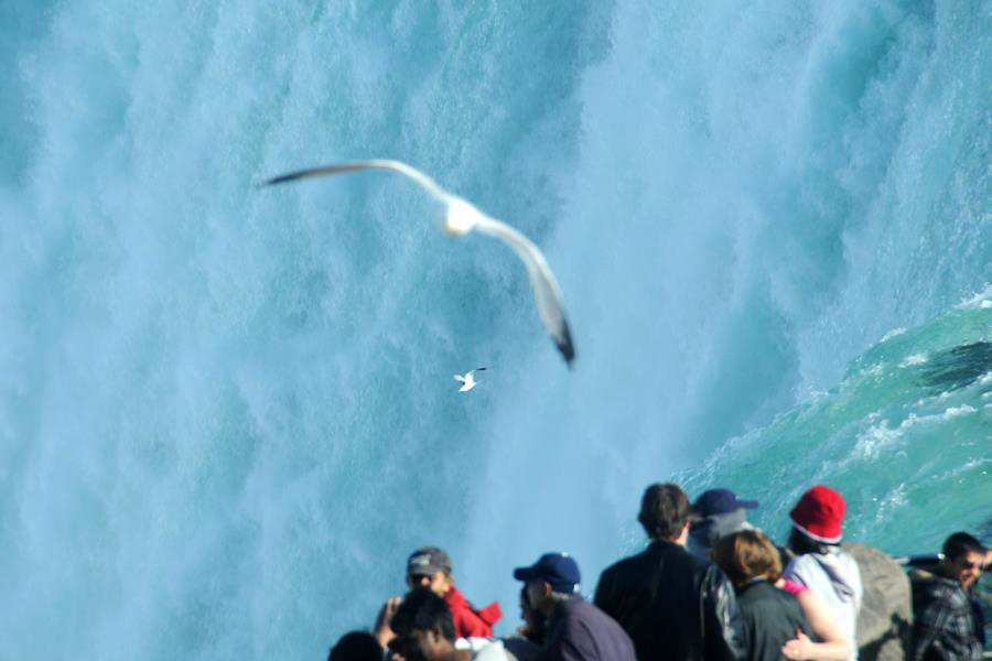 Niagara Falls